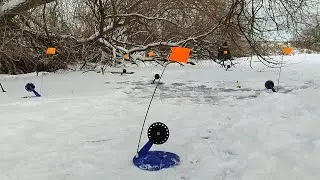 Wild fishing with tip-ups in the dense forests