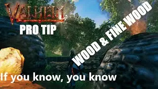 Valheim -  PRO TIP -  Wood & Fine Wood