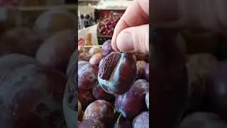 Природа шалунья! 🤣🤣🤣👍