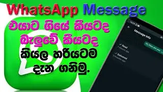 How to see WhatsApp message read and delivered time | WhatsApp tips and tricks Sinhala