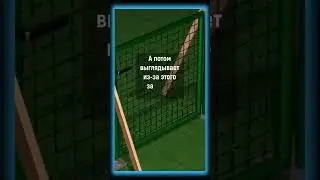 Будьте свободными
