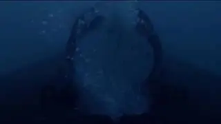 Удар морского котика