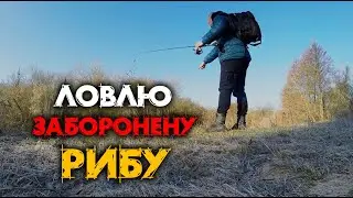 ПОШУК РИБИ в МУТНІЙ ВОДІ / ЛОВЛЮ ЗАБОРОНЕНУ РИБУ! рибалка 2023 !