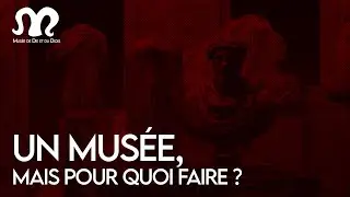 Un musée, mais pour quoi faire ?