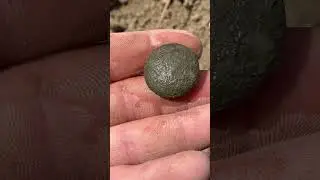 Неожиданные находки на выбитом месте 🔥 #metaldetecting #поискмонет #коп #поиск #coin #древняя #meta