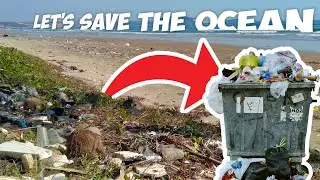 Join the TeamSeas Movement: How You Can Help Save Our Oceans
