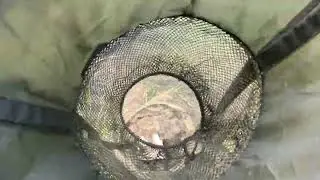 Отчет по рыбалке
