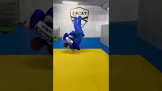 Подхват под две ноги