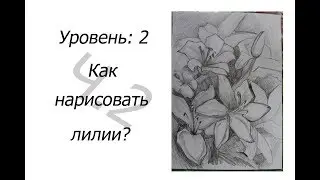 2 уровень. Как НАРИСОВАТЬ ЛИЛИИ? 2 часть