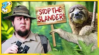 The Media is Bullying Sloths (For Some Reason)