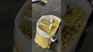 Тайная жизнь Ташкента🤭 