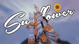 𝗦𝘂𝗻𝗳𝗹𝗼𝘄𝗲𝗿