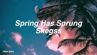 Spring Has Sprung || Skegss Lyrics