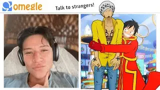 Luffy and Law Go On Omegle! (one piece vr)