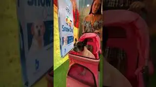 @kili FEZ A MAIOR FESTA NO NOSSO ESTANDE, CONFIRA!