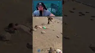 Жирный лут#раст#мувемент#rust#стрим #survival#stream#games #rust#рекомендацииyoutube#figthing#solo#