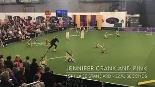 Jennifer Crank and P!nk at the 2020 Westminster Agility Prelims