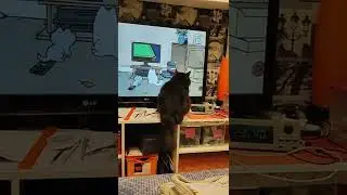 Матюша учится у Кота Саймона (Simon's Cat) как троллить своих человеков