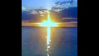 You're Not Alone - Song by Lene Sondergaard