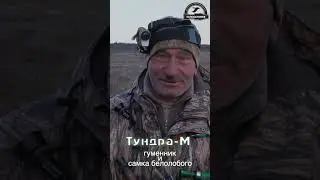"Тундра-М" Манок на гуменника в действии  #schoolhunter #охота