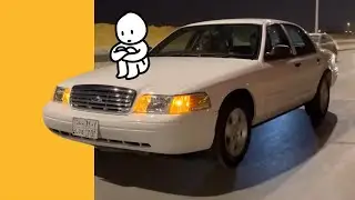 الحوت الحزين .. تعبت معه