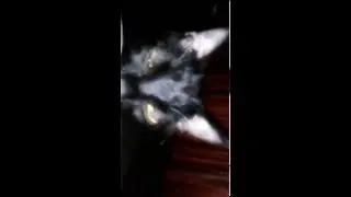 слидим за сонай