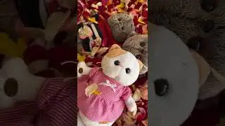 Счастливые и довольные басики. 