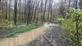 Реник 1000