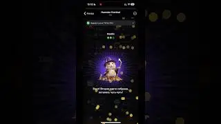 Хамстер Комбат комбо карты сегодня 28 мая! Combo Hamster Kombat
