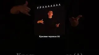Звери - Пингвины pt.2 (Кавер на Русском жестовом языке)