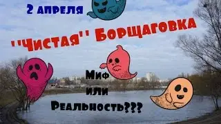 VLOG: Южная Борщаговка хвастается своей "чистотой"