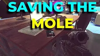 Saving The Mole Task Guide (Ground Zero) in Escape From Tarkov
