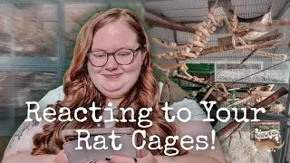 REACTING TO YOUR RAT CAGES 🐀✨️ | Part 5