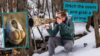 Prime lens vs Zoom lens. When Prime is king, these are the scenarios a prime lens is best.