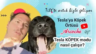 Tesla'da  🐶Köpek🐶 Modu Nasıl yapılır? / Tesla'ya Köpek Örtüsü aldım