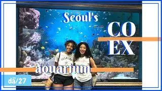 We take you to the Coex Aquarium | Day 27