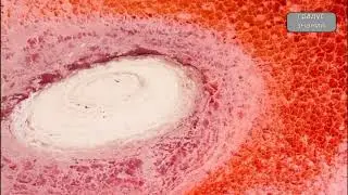 Озеро превращающее животных-в статуи