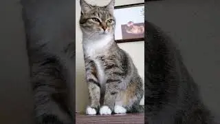 Ещё раз так сделаешь я тебе руку сломаю коза! 