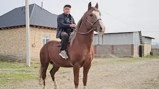 ГЕНЕРАЛ Аксынын аты