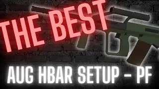 BEST AUG HBAR SETUP??? (+Voice Reveal)