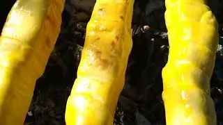 Хачапури с сулугуни на шампуре