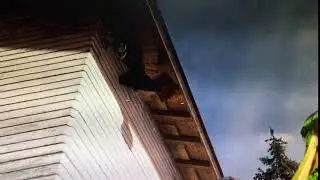 FarCry5