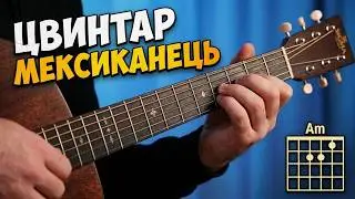 Zwyntar – Мексиканець (акорди на гітарі)