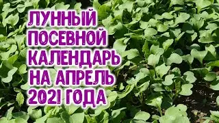 Лунный посевной календарь на апрель 2021 года. Агрогороскоп посевов овощных, цветочных растений