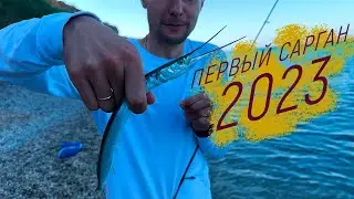 Первый Сарган 2023! Рыбалка в Крыму .