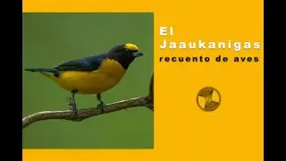 El Jaaukanigas
