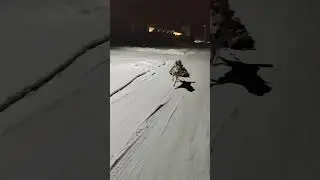 Когда имеешь собаку