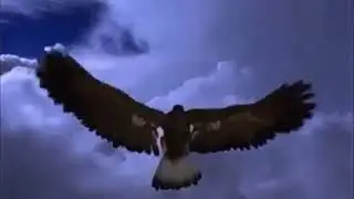 ЗИМА КРАСАВИЦА