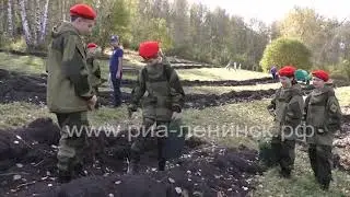Всероссийская экологическая акция «Сохраним лес!»