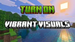 How To Turn On Vibrant Visuals In Minecraft 🤩